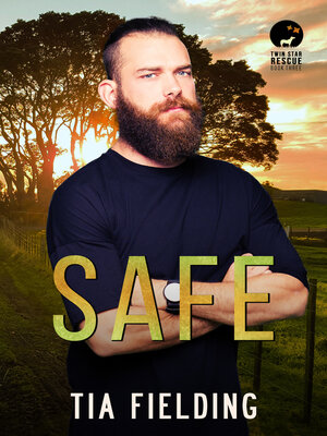 cover image of Safe